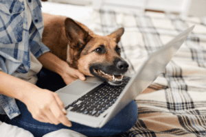 man met hond achter laptop